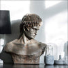 Ancient Greek Roman Bust Sculpture